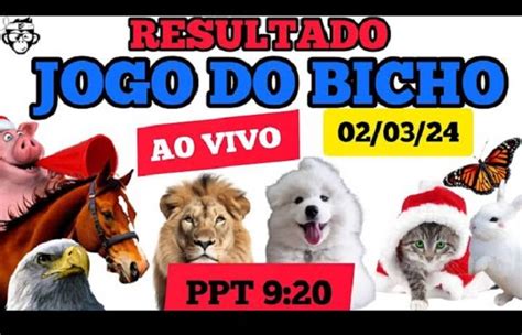 resultado jogo bicho paratodos ba